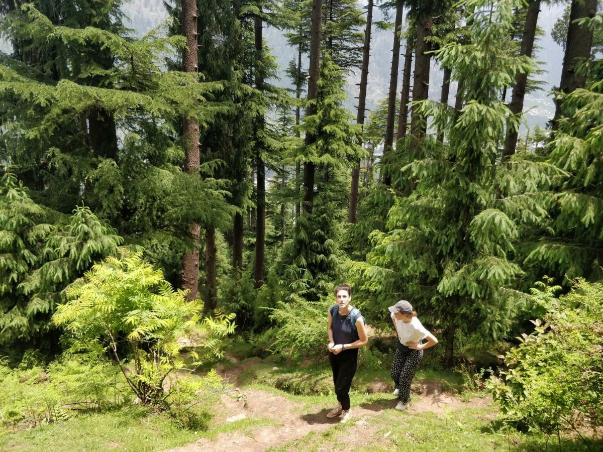 Hostel Madpackers Manali Zewnętrze zdjęcie